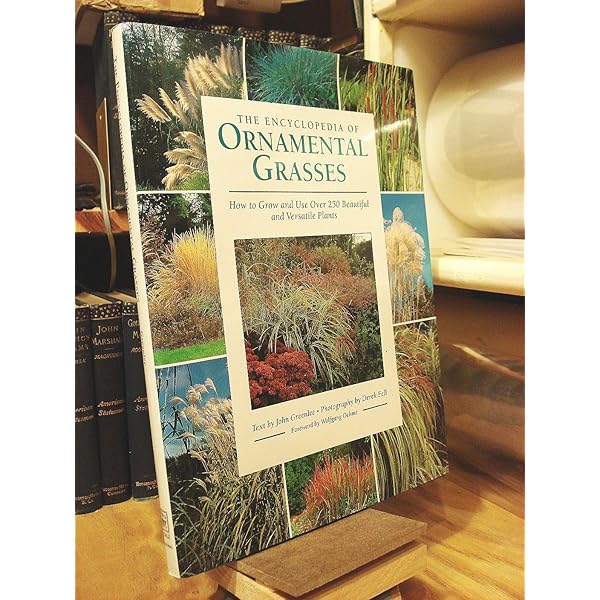 With Gardening King Michael by Grasses with Gardening 洋書 Grasses