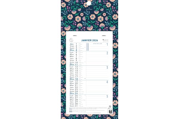 Exacompta 33218E - Calendrier mensuel avec feuillets détachables 13 x 23 cm - Sur support plaque imprimée Mini Labo 16 x 33 cm - Janvier à décembre 2026 - Visuel aléatoire