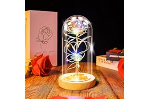 Ptesuply Beauty and The Beast Rose Lamp In the Glass Dome, Eternal Rose Artificial Flower with LED Light, Gift for Women Girl for Birthday Valentine's Day Mother's Day Christmas Anniversary