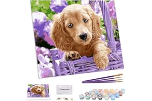 TAHEAT DIY Malen nach Zahlen Kit für Erwachsene Anfänger, Tiere Malen nach Zahlen auf Leinwand DIY Acrylmalerei 16x20 Zoll-niedlichen Hund ohne Rahmen