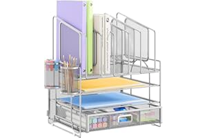 VITVITI Organizer Scrivania,4 Livelli Porta Documenti Scrivania con 2 Portapenne, Rete Organizzatore da Scrivania con Cassetto per Riviste, Casa, Scuola, Accessori per Ufficio (Top File Argento)