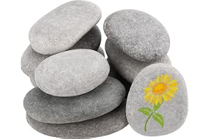 FAAING 10 stycken platta stenar för målning, 8–10 cm stora kiselstenar släta flodstenar dekorativa stenar natursten flodsten för mandala målning, trädgård, blomkrukor, akvarier
