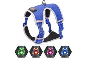 YFbrite Harnais lumineux pour chien - Rechargeable par USB - LED - Harnais réfléchissant pour chien - Lumières pour chien - Confortable et réglable - Respirant et clignotant - Bleu - Taille M