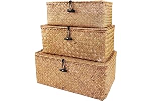 WANKD Aufbewahrungskorb aus geflochtenem Rattan, Aufbewahrungsbox mit Deckel, Natur Seegras, Wäschekörbe, Make-up-Organizer für Badezimmer, Wohnzimmer, Küche