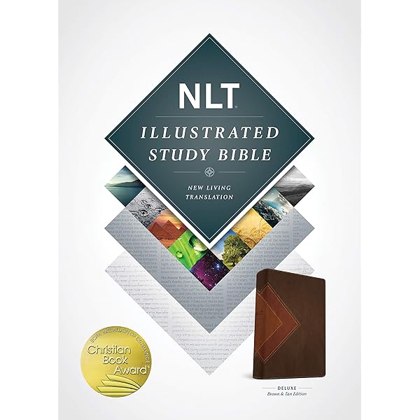 Buy NLT Study Bible: New Living Translation Study Twilight Blue