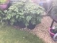GardenMate® 5X 30l Sacos para Plantas de Malla geotextil ...