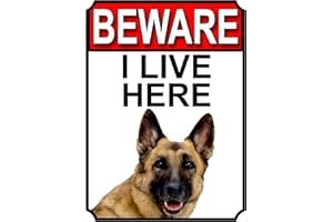 SHAWPRINT LIMITED BEWARE I LIVE HERE METAL GATE SIGN GERMAN SHEPHERD 200MM X 10MM (1066H1)