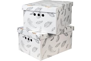 SOFTILLO Cardboard Storage Boxes with Lid, Decorative Wardrobe, Closet, Home & Office Organiser with Handle, Flat-Packed, Stackable File Box, Gift for Adults & Kids, Set of 2, Large - Feathers