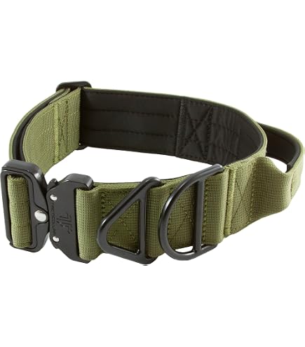 MADE TO ROAM Hundehalsband – Verstellbares Nylon-Halsband Mit Schnellverschluss, Größe 3 (35,6-50,8 Cm)