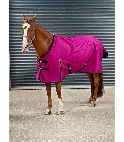 Equestrian Essentials Coperta Da Turnout 1200D, 50g - Foto 4