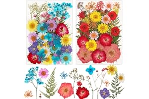 MWOOT 80Pcs Resin Crafts Pressed Dried Flowers Mixed Natural Pressed Dry Flowers Leaves for DIY Candle Jewelry Pendant, Blue Red Yellow Petals for Art Decoration