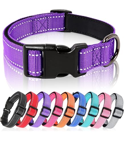 Martin Rtter  Halsband Hund SoftVinyl Kobaltblau Gre S  Hundezubehr  Hundehalsband Wasser- & schmutzabweisend aus weichem PVC fr kleine Hunde   Dog Collar pflegeleicht, hygienisch & UV-fest : Amazon.de: Haustier