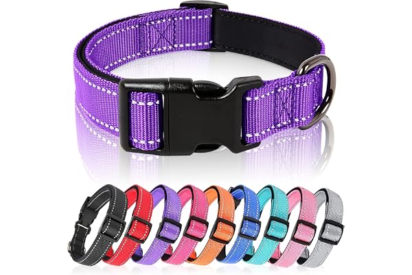 HEELE Collier Chien, Collier Réfléchissant pour Chien, Collier en Néoprène Doux, Rembourré et Respirant en Nylon, Ajustable pour Les Chiots Petits Moyens et Grands Chiens, Violet, XS