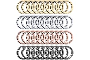 Pavlleen 40 Piezas Mosqueton Redondode Metal,Anillo de mosquetón Redondo,Aleación de Zinc Mosqueton,para Carteras,Maletas,llaveros,DIY Manualidades Accesorios