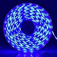 iNextStation 12V LED Light Strip IP65 Waterproof Blue LED Strip Lights 16.4ft/5m Cuttable 300 SMD 2835 LED Tape Flexible Led Lights for Bedroom Outdoor Indoor Decor (Power Adapter not Included)