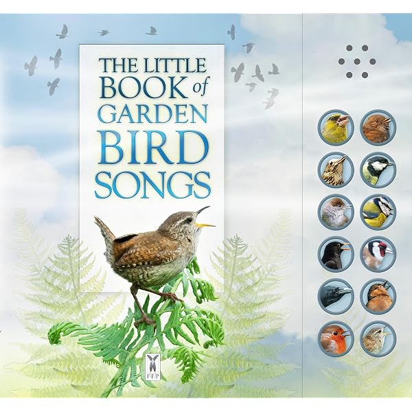 Songs of the Birds : Otter, Isabel, Robin, Clover: Amazon.co.uk: Books