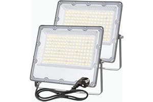 MEEKBOS 2 Pezzi Faretto LED da Esterno 100W, IP66 Impermeabile Luce Bianca Fredda 6500K Faro LED Con Spina UE per Terrazza, Giardino, Patio, Parco, Garage,10000 Lumen