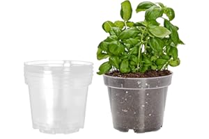 Garronda Pots Horticulture Ronds Transparents Pots pour Culture de Plants de Plantes et Fleurs GD-0024 (5 Pièces Transparent, ⌀ 9cm H 8,5cm)