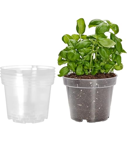 30 Vasi Per Orchidee Trasparenti Con Fori Di Drenaggio - Set Da 9/10/13 Cm, Con Tappetino Ed Etichette Per Piante