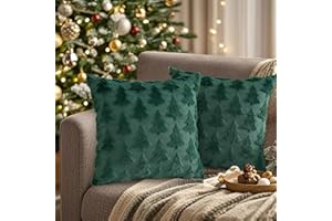 A RAY OF SUNSHINE Kissenbezug Weihnachten 50x50 cm,2er Set Weihnachtskissen Samt,Weihnachtsdeko Kissenbezug Samt,Zierkissenbezug Dekokissen,Kissenhülle Weihnachten für Sofa Sessel Zuhause Schlafzimmer