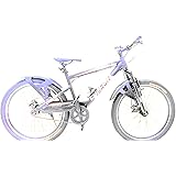 gang woody cycle price