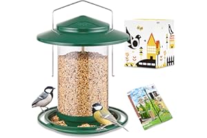 iBorn Mangiatoia per uccelli in metallo da appendere all'aperto, mangiatoie per uccelli selvatici per cardinali, 18 cm, grande tetto e vassoio verde a 6 porte (semi non inclusi)