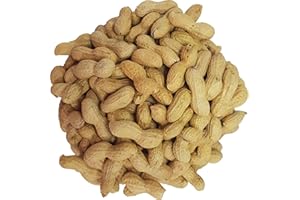Premium Monkey Nuts for Wild Birds and Squirrels by Britten and James. Natural, High Energy, Nutritious - Whole Peanuts in Shells (3L tub)