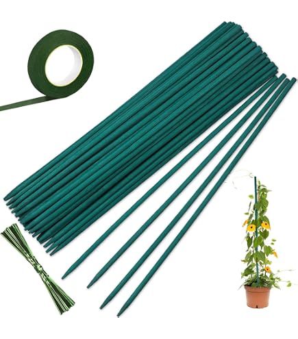 Bambus-Splittstbe, 50 cm, Natur, 10 Stck : Amazon.de: Garten
