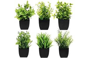 Royouzi 6 Piante Artificiali, Piccole Mini Piante Artificiali In Vaso, Vasi da Fiori Artificiali, Adatte per Arredare Uffici, Camere da Letto, Terrazze, Soggiorni e Bagni (nero)