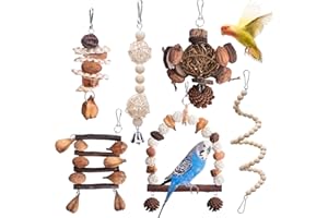 BORDEAG Giochi per Uccelli 6 Pezzi - Pappagallo Giocattolo da Masticare Naturale Con Altalena in Legno per Inseparabili Parrocchetti Ara