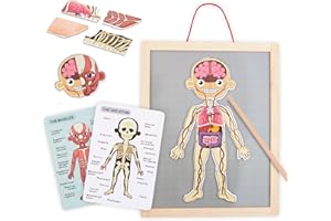 mamabrum, Puzzle Magnétique - Apprentissage de l'Anatomie - Corps Humain, Grand Tableau Magnétique, 2 Cartes Double Face, 1 Index, Enseigne la Structure du Corps, Puzzle Anatomique pour Enfants