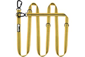 BLUZELLE Guinzaglio per Cani Taglia Grande fino a 100kg, 3m Guinzaglio Doppio Forte Regolabile per 2 Cani, 2x Extra Robusto Moschettone in Alluminio a 360°, Guinzaglio A Mano Libera, Colore:Giallo