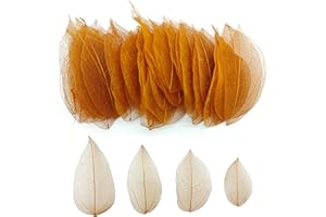 HAOBIN 50 sztuk naturalnych liści szkieletu suszone liście szkieletu naturalne suszone liście mieszane suche liście używane do diy Scrapbook craft card making (brązowy C)