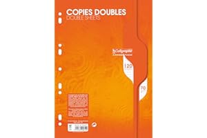 Calligraphe 5614C Un Paquet de Copies Doubles Perforées sous Film (une Marque de Clairefontaine) - A4 21x29,7 cm - 120 Pages Petits Carreaux - Papier 70 g