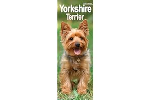 Yorkshire Terrier Slim 2026 Calendar | Slimline Wall Calendar | Dog Breed Gift | Plastic Free Packaging | by Avonside Publishing