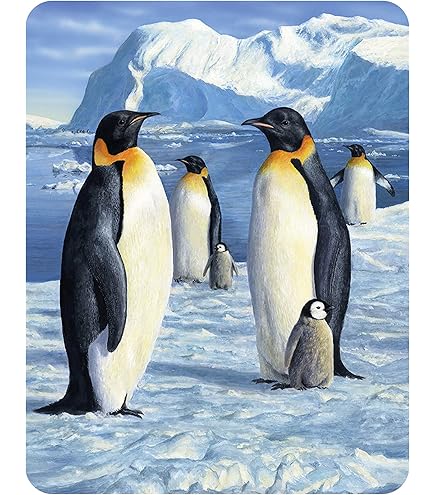 Calamita 3D Frigorifero Animali Giungla - Decorazione Lenticolare Tami Alba, 7x9cm - Foto 5