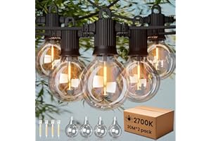 ZOTOYI 60metri Catena Luminosa Esterno LED, G40 Luci da Esterno Catena con 100+4 IP65 Impermeabile Lampadine in Plastica Bianca Calda Materiale del filo di rame puro per Giardino Partito Festa