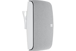 DALI FAZON SAT – Eleganter Wandlautsprecher aus Aluminium-Druckguss mit Holzfasermembran und großem Klangbild