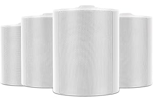 Herdio Altavoz Bluetooth para Exteriores de 5,25 Pulgadas, Resistente al Agua, 600 vatios con Amplificador con Cable para Interior y Exterior, Patio, Garaje, casa (Blanco)