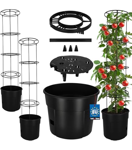 Tomaten toppen: ja of nee? - Gardeners World