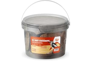Suet Shop - Suet Coconut Halves, 10 Pack - Natural Hanging Bird Feeders - Enriched with Human Grade Beef Tallow, High in Essential Energy & Protein - All-Season Bird Feed - Manufactured In The UK