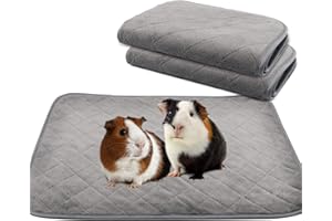 RANYPET Lot de 2 Tapis Educateur pour Cochon d'Inde, Tapis 4 Couches Lavable Etanche Douce/Super Absorbante pour Petits Animaux Lapin Nain Chinchilla Hérisson 120 * 60cm