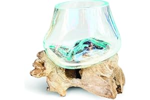 MAISONICA Molten Glass Round Bowl on Rustic Drift Wood Root Base Stand Home Decoration Gift