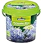 Dehner Hortensien-Blau, Sofortwirkung zur Blaufärbung von Hortensien, 900 g, für ca. 300 l