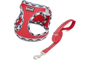 DORAMIO Hundegeschirr Kleine Hunde mit Leine, Step-in Geschirr Reflektierend Atmungsaktiv Brustgeschirr Anti Zug Sicherheitsgeschirr Katzengeschirr für Kleine Hunde, Katzen (Rot, M)