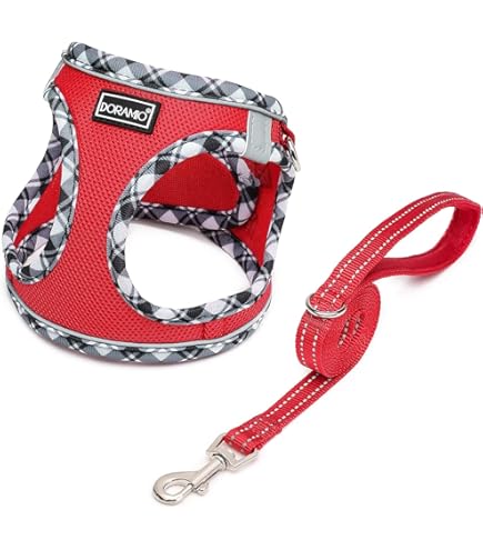 Dotoner Imbracatura Per Cani Di Sollevamento,Imbracatura Per Cani Zampe Posteriori,Per Il Dorso E Il Riabilitazione Delle Zampe Dei Cani,Supporto Regolabile Per Cani Anziani Feriti Media Grande - Foto 3