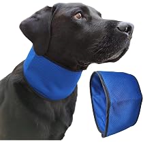 Gilet Rinfrescante Per Cani IECOii Taglia XXL – Giacca Estiva Con Cinghie Regolabili E Anello A D, Raffreddamento Ad Evaporazione Per Passeggiate, Escursioni E Campeggio