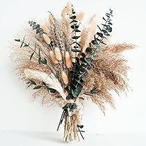 Véritable Herbe de la Pampa, séché naturellement–Mariage Fleur Bouquet de la Tendance pour Le Mariage au favori en intérieur Couleurs Naturelles-Big Anche 5 bâtons_Paquet de Fleurs séchées | Votre wishlist sur