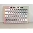 2000 Saving Challenge Money Tin Sticker, Money Box sticker, Money label, pinching pennies (2000 Pastel)