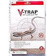 LIZARD GLUE TRAP Highly effective anti lizards trap (v-trap anti lizard glue trap)